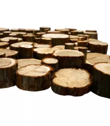 Панно из спилов можжевельника  3D 1000х500мм