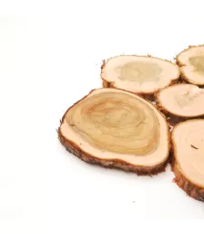 Спилы можжевельника (1 кв.м.)