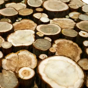 Панно из спилов можжевельника  3D 1000х500мм