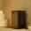 Электрокаменка EVEREST Черный Кристалл с парогенератором 6кВт (Black Crystal Steam S60)